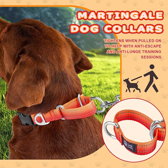 Martingale Collar for Dogs Large Medium Small Heavy Duty Buckle Dog Collar with Tag Ring Reflective Nylon Gradient Dog Collar No Pull Training Collar