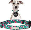 Lucky Love Dog - Adjustable Dog Collar with Easy Click Buckle for Medium Dogs, Durable, & Comfortable for Male & Female Dogs, Pet Collar for Puppies & Adult Ones - Penny, Medium