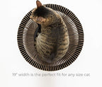 Nest Cat Scratcher Lounge Bed (Midnight Black Un-Assembled)