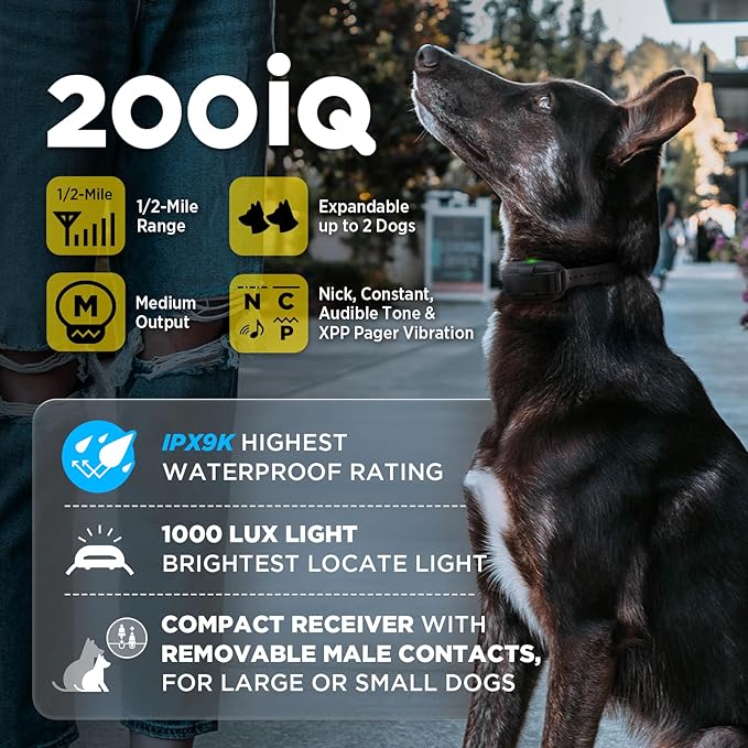Dogtra 200iQ Professional Remote Training E Collar - 1/2 Mile, 100 Precision Levels, IPX9K Waterproof, Tone & Vibration – Seamless No-Look Control Off-Leash Confidence for Dogs 10lb+
