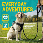 No Pull Dog Harness and Leash Set for Large Dogs – Adjustable Reflective Breathable Soft Padded Easy Control Dog Harness for Training & Walking, Black (Large)