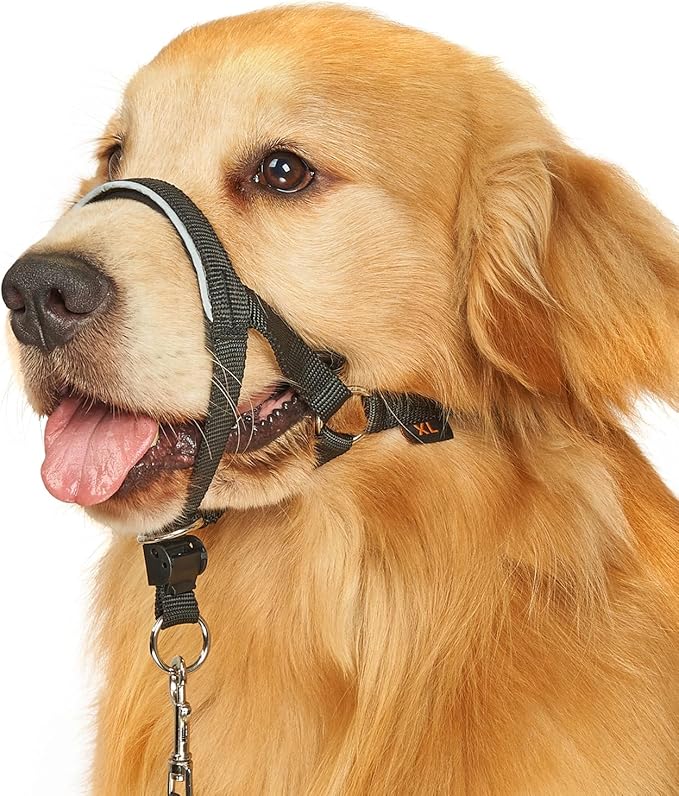 BARKLESS Head Collar for Dogs, No Pull Head Halter for Large Medium Small Dogs, Dog Halter Stops Heavy Pulling, Muzzle Leash with Padded Safety Strap for Walking Training(Black, L)