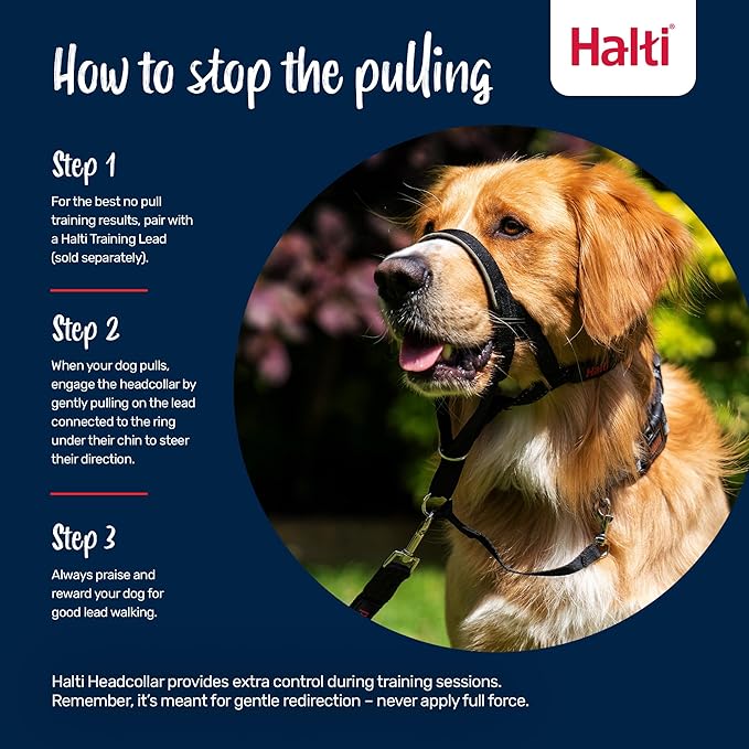 Halti Headcollar - Stop Your Dog Pulling on the Leash. Adjustable, Reflective and Lightweight, with Padded Nose Band. Dog Training Anti-Pull Collar for Large Dogs (Size 4, Black)