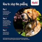 Halti Headcollar - Stop Your Dog Pulling on the Leash. Adjustable, Reflective and Lightweight, with Padded Nose Band. Dog Training Anti-Pull Collar for Small Dogs (Size 1, Black)