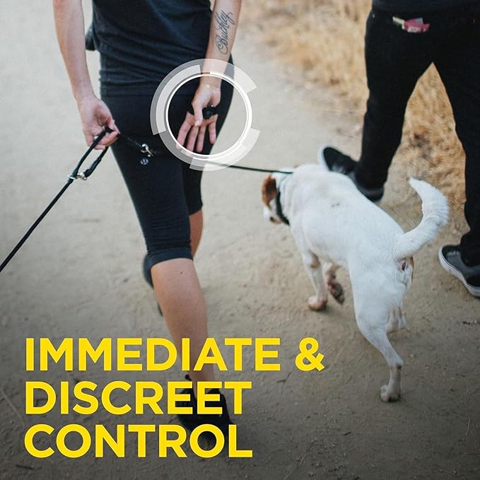 Dogtra 1902S HANDSFREE Plus Boost and Lock, Remote Dog Training E-Collar, HANDSFREE Square, 3/4-Mile Range, Rechargeable, Waterproof, High-Output, 2 Dog System, eCollar for Medium, Large Dogs