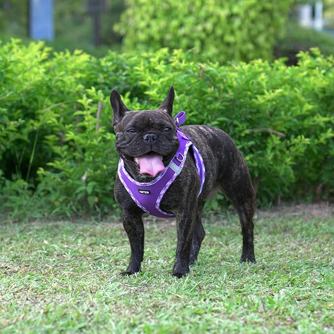 AMTOR Small Dog Harness with Leash Set, No Escape Easy Walk Puppy Harnesses for Training Walking, Step-in Reflective Soft Dogs Vest for XS S Medium Extra-Small Large Sized Dog(Purple,L)
