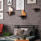 Gothic Wall Mounted Halloween Shelf Coffin Spider Web Style Cat Tree Wall Load Bearing up to 30 Lbs/ 14 kg Black Cat for Indoor