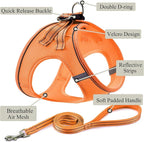 Dog Harness with Leash Set, No Pull Adjustable Reflective Step-in Puppy Pet Vest Harnesses for Small Medium Large Dogs and Cats,Orange M
