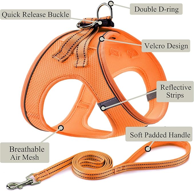 Dog Harness with Leash Set, No Pull Adjustable Reflective Step-in Puppy Pet Vest Harnesses for Small Medium Large Dogs and Cats,Orange M
