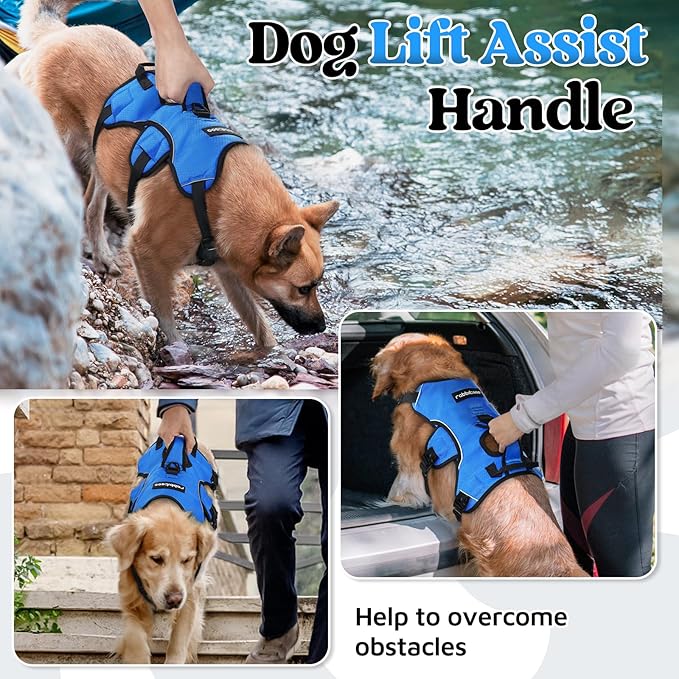 rabbitgoo Escape Proof Dog Harness, Soft Padded Full Body Pet Harness, Reflective Adjustable No Pull Vest with Lift Handle and Leash Clip for Large Dogs Walking Hiking Training, M, Blue