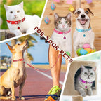 Amylove 48 Pcs Dog Collar and Leash Set, Polypropylene Adjustable Puppy Collars for Medium Dogs Small Pet Puppy Walking Training with Hook and Buckle(Vivid Color,Animal Pattern)