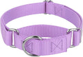 Country Brook Petz - Martingale Dog Collar - Heavy-Duty Training Collar with No Buckle - Service Dog Collar for All Pups - 10+ Cool Colors (Lavender, 5/8 Inch, Extra Small)