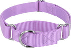 Country Brook Petz - Martingale Dog Collar - Heavy-Duty Training Collar with No Buckle - Service Dog Collar for All Pups - 10+ Cool Colors (Lavender, 3/8 Inch, 2XS)