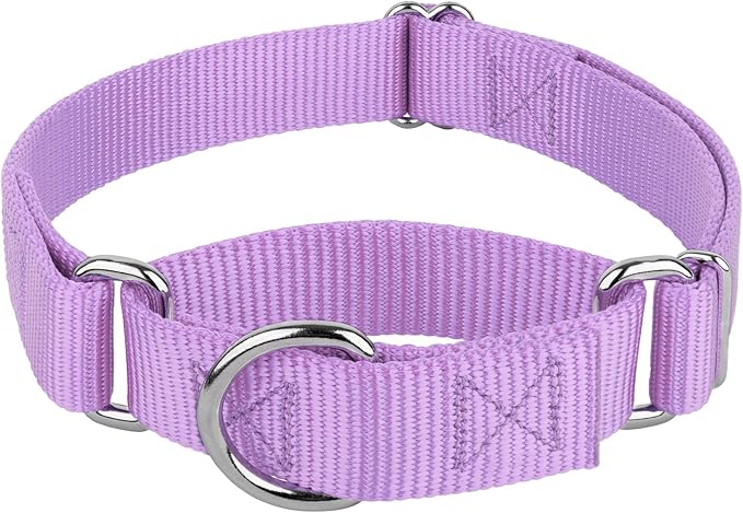 Country Brook Petz - Martingale Dog Collar - Heavy-Duty Training Collar with No Buckle - Service Dog Collar for All Pups - 10+ Cool Colors (Lavender, 1 Inch, Large)