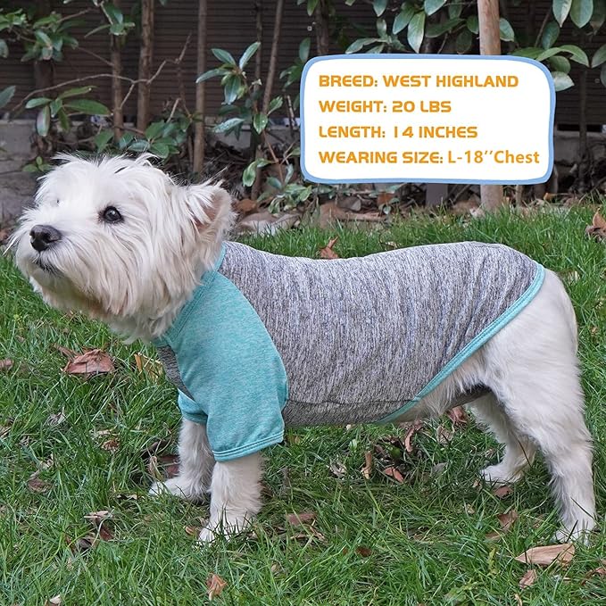KYEESE 2Pack Dog Shirt with Sleeves, Lightweight Sun Protection Dog T Shirts for Large Dogs Boy, Breathable Pet Tank Top Reflective Dogs Clothes for Summer Outdoor Walking, Grey+Lake, 3XL
