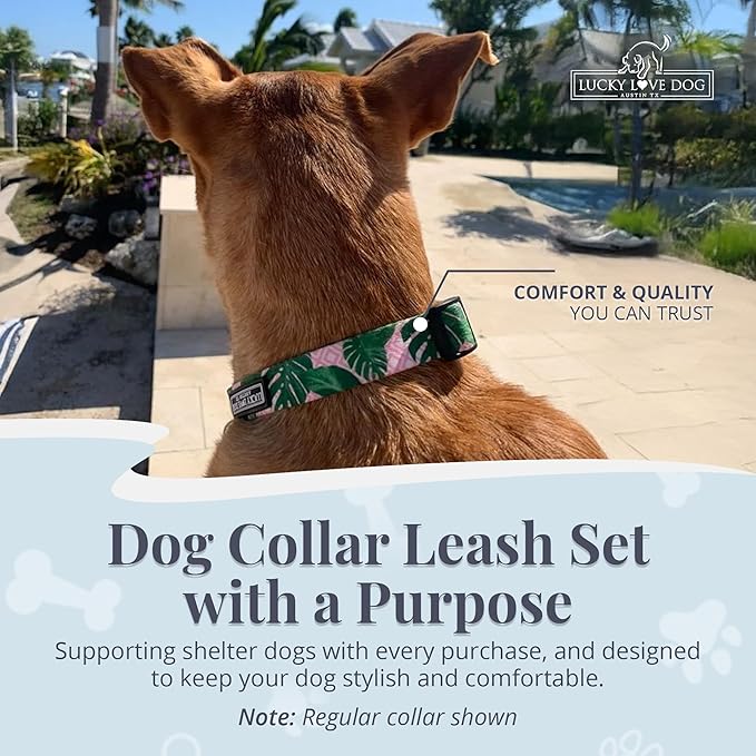 Lucky Love Dog Martingale Dog Collar & Leash - Adjustable, No-Slip, Durable, Comfortable, Soft Webbing, & Stylish Patterned Collar & Leash Set for Male and Female Dogs - Laguna Mart Combo, Large