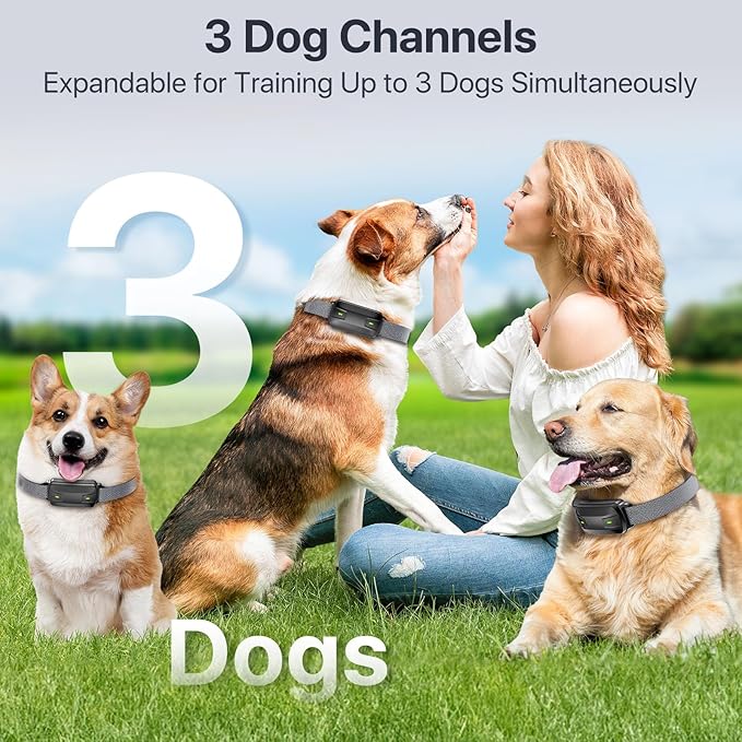 Dog Shock Collar with Remote Control, Dog Training Collar for Large Medium Dogs 40-120lbs Waterproof, Shock Collar for Dogs with Beep Vibration Security Lock (Matte Black)