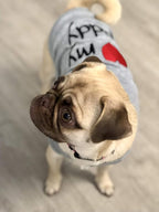 Parisian Pet Dog Shirt - 100% Cotton Shirts for Large Dogs - Grey Sleeveless Dogs Clothes - Lightweight and Breathable Puppy Clothes - Stretchy Dog Apparel - I Love My Daddy T Shirt for Pet