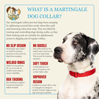 Country Brook Petz - Martingale Dog Collar - Heavy-Duty Training Collar with No Buckle - Service Dog Collar for All Pups - 10+ Warm Colors (Red, 1 Inch, Medium)