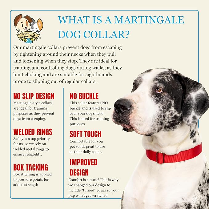 Country Brook Petz - Martingale Dog Collar - Heavy-Duty Training Collar with No Buckle - Service Dog Collar for All Pups - 10+ Warm Colors (Red, 1 Inch, Large)