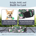 Lucky Love Dog - Adjustable Dog Collar with Easy Click Buckle for Small Dogs, Durable, & Comfortable for Male & Female Dogs, Pet Collar for Puppies & Adult Dogs - Laguna, Small