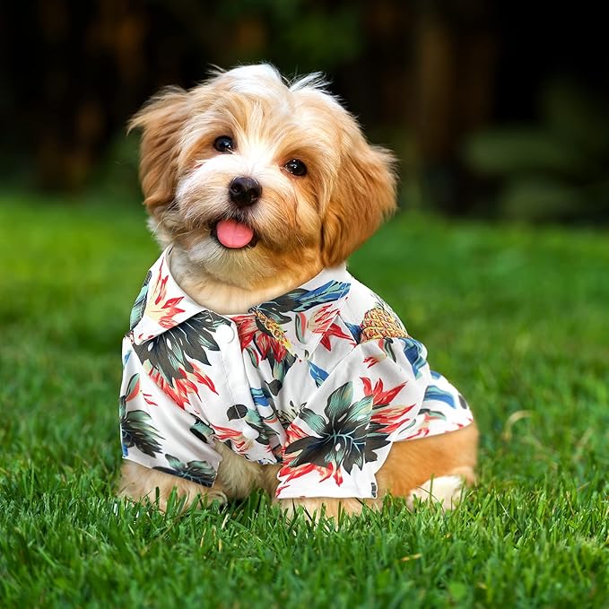 Weewooday 4 Pieces Small Pet Summer T-Shirts Hawaii Style Floral Pet Dog Shirt Breathable Cool Clothes Beach Seaside Puppy Sweatshirt for Puppy(Cute Style,X-Small)
