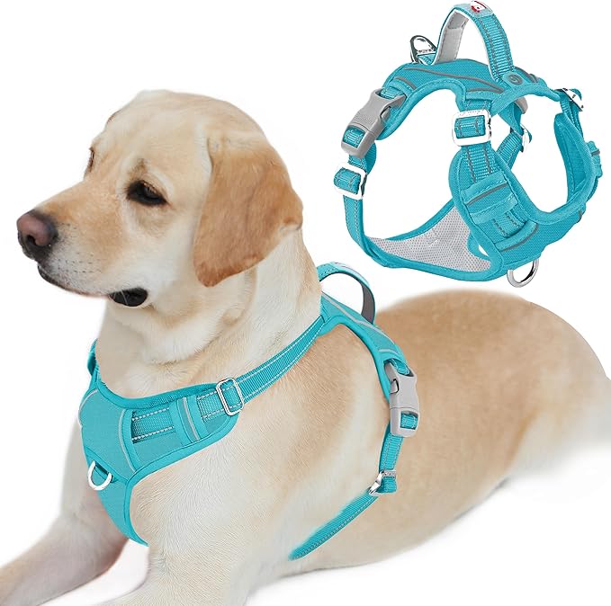 BARKBAY Dog Harness No Pull Oxford with ID Tag Pocket - Heavy Duty, Reflective, Easy Control for Large Dogs(Aqua Oxford,L)