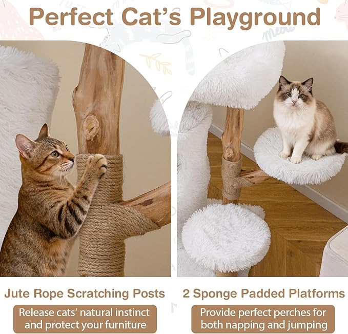 PETSITE 30.5 Inches Wooden Cat Tree, Multi-Level Modern Cat Tree with Scratching Posts, 2-Layer Condo, Long Plush Covered Soft Top Perch, and Various Jumping Platforms, Ideal for Indoor Cats