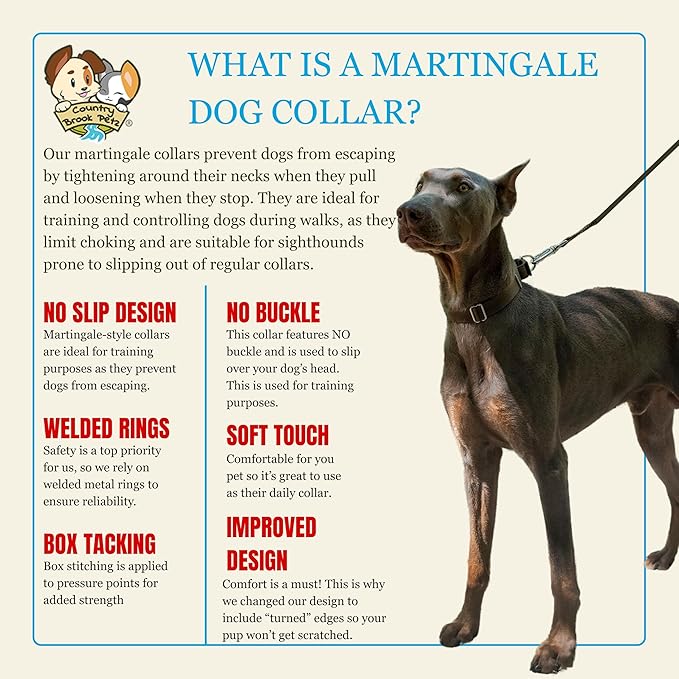 Country Brook Petz - Martingale Dog Collar - Heavy-Duty Training Collar with No Buckle - Service Dog Collar for All Pups - 10+ Warm Colors (Brown, 5/8 Inch, Extra Small)