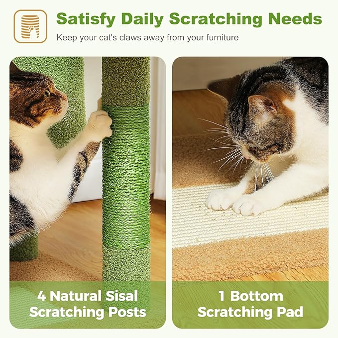 PEQULTI 62" Cat Tree for Indoor Cats, Multi-Level Cat Tower with Cozy Cat Condo Clearance Prime, Green