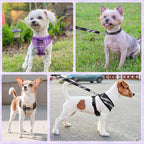 SCENEREAL No Pull Dog Harness Collar and Leash Set Small Medium Sized Dog, Soft Mesh Puppy Harnesses, No Chock Plaid Adjustable Pet Vest for Outdoor Walking Training and Running, Black M