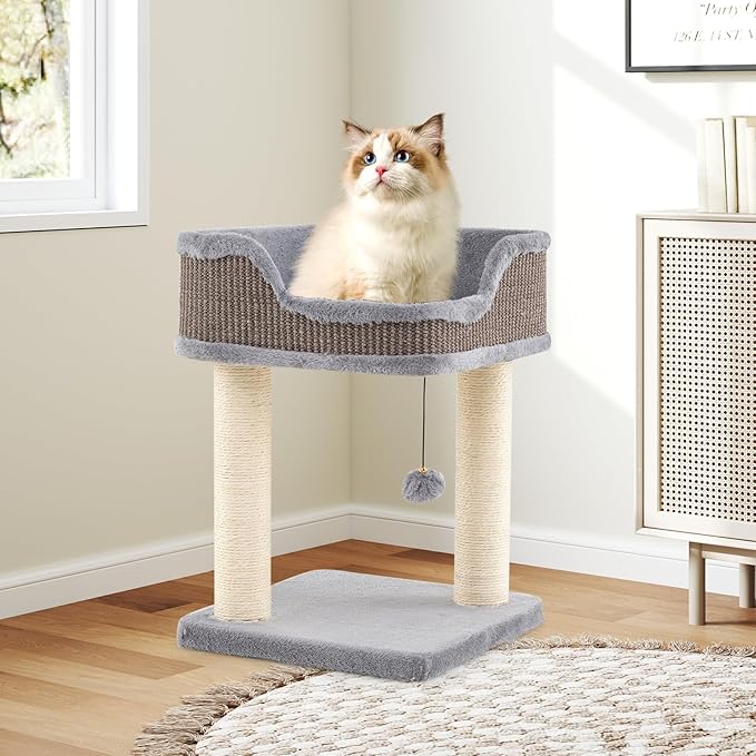 PETSITE 20 inch Small Cat Tree, Modern Cat Tree with Top Soft Upholstered Bed, Sisal Scratching Posts & Mats, and Interactive Dangling Ball, Ideal for Small Indoor Cats and Kittens