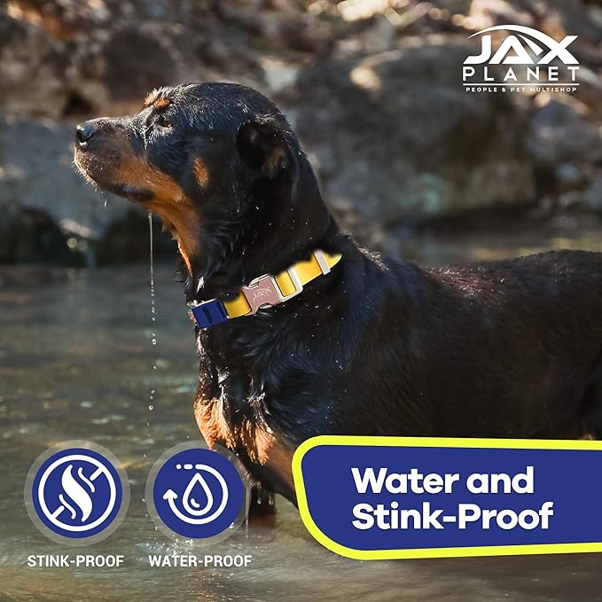 Jelly Waterproof Martingale Dog Collar, No Pull Nylon Collar with Alloy Metal Buckle & D-Ring for Outdoor Training and Walking, Anti Pull, Escape Free, One Time Adjustment - Yellow & Blue, L