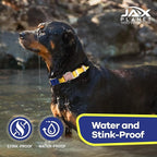 Jelly Waterproof Martingale Dog Collar, No Pull Nylon Collar with Alloy Metal Buckle & D-Ring for Outdoor Training and Walking, Anti Pull, Escape Free, One Time Adjustment - Yellow & Blue, L
