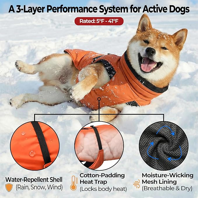 Dog Winter Coat, Warm Puffer Jacket with Fur-Safe Buckle & Leash Hole for Cold Weather, Water-Repellent Snow Vest, Breathable Thermal Apparel for Hiking & Active Dogs (Aurantium, XX-Large)