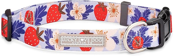 Lucky Love Dog - Adjustable Dog Collar with Easy Click Buckle for Small Dogs, Durable, & Comfortable for Male & Female Dogs, Pet Collar for Puppies & Adult Dogs - Sweet Berry, Small