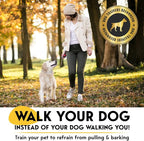 PetJett Choke Collar for Dogs Training Collar Adjustable Prong Collar for Dog Quick Release Pinch Collar for Dog for Small Medium Large Dogs No Pull Walking Tool - Stainless Steel Metal Choker Chain