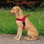 Red No Pull Dog Harness for Small Medium Large Sized Dog, Reflective Escape Proof Adjustable Dog Harnesses with 2 Patch, S