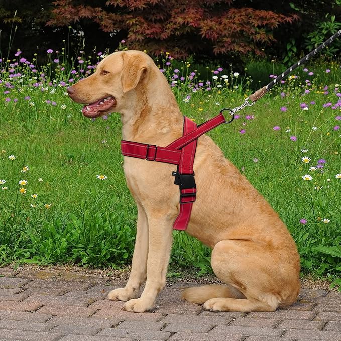 Red No Pull Dog Harness for Small Medium Large Sized Dog, Reflective Escape Proof Adjustable Dog Harnesses with 2 Patch, M