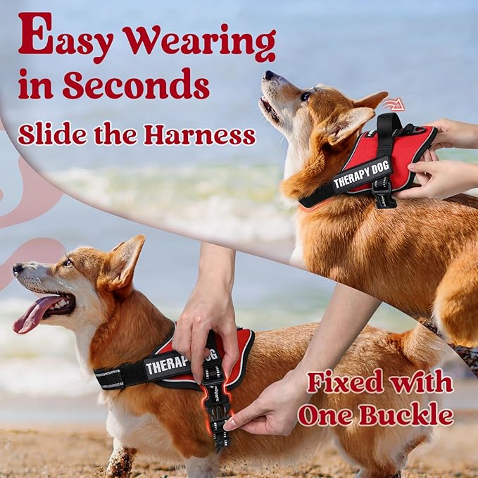 rabbitgoo Dog Harness for Large Dogs, No Pull No Choke Pet Vest, Easy Wearing with One Buckle, Reflective, Adjustable Pet Harness with Molle for Walking, Training, Red, L