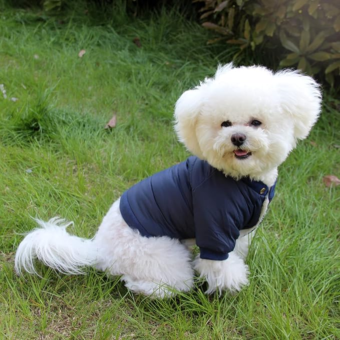 Fleece Lined Dog Coat with Detachable Hood and Detachable Hind Legs,Warm Puppy Jacket in Winter(Blue S)