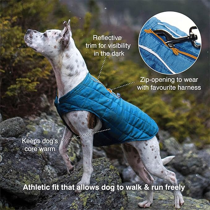 Kurgo Loft Dog Jacket - Reversible Cozy Coat for Outdoor Adventures - Water Resistant - Athletic Fit - Machine Washable Fabric - Reflective Dog Gear - X-Large - Chili Red