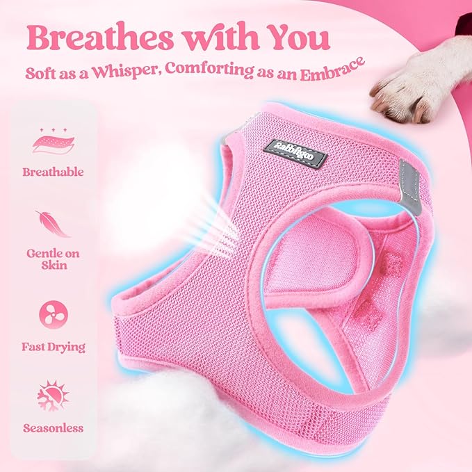 rabbitgoo Dog Harness Small Sized and Leash Set, Step in Soft Light Puppy Vest, Breathable Mesh Pet Harness, Reflective for Safe Easy Walking, Light Pink XS