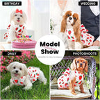Cute Dog Dress Small Dog Clothes for Girls Female Puppy Outfits Red Strawberry Pet Summer Clothes Bowknot Doggy Cat Princess Dresses Harness for Holiday Birthday Party Costume Clothing (Red,L)