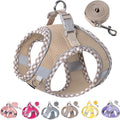 Petank Dog Harness for Small Medium Dogs No Pull, Puppy Harness and Leash Set for Walking, Running, Training, Small Dog Harness, Medium Dog Harness (Brown, S)