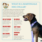 Country Brook Petz - Martingale Dog Collar - Heavy-Duty Training Collar with No Buckle - Service Dog Collar for All Pups - 10+ Cool Colors (Lavender, 1 Inch, Large)