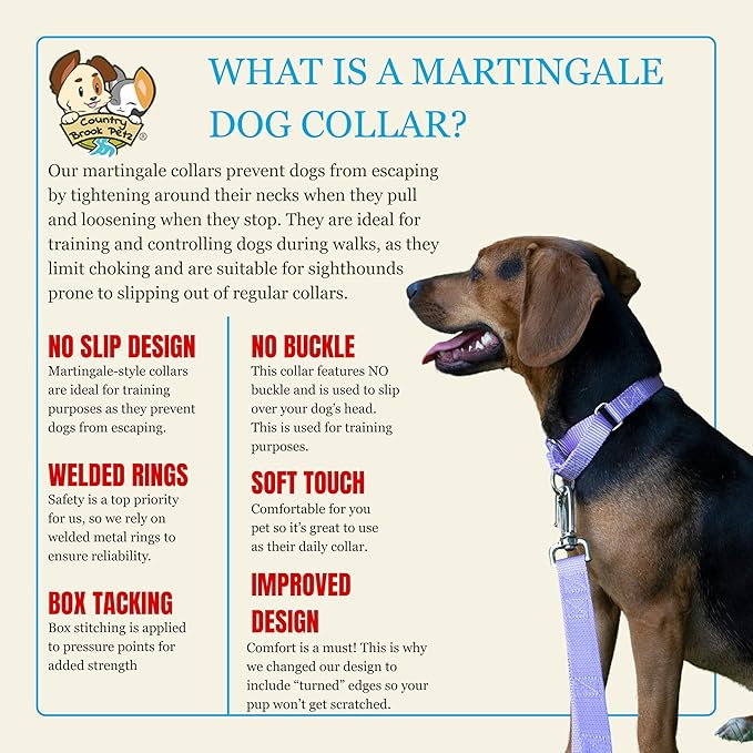 Country Brook Petz - Martingale Dog Collar - Heavy-Duty Training Collar with No Buckle - Service Dog Collar for All Pups - 10+ Cool Colors (Lavender, 1 Inch, Large)