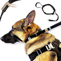 No-Pull Dog Headcollar – Stops Sudden & Constant Pulling on the Leash, Gentle & Effective Training Collar for Large & Small Dogs – No Choking or Pinching, Comfortable & Safe for Peaceful Walks (XL)