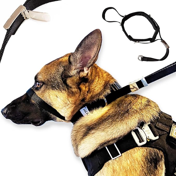 No-Pull Dog Headcollar – Stops Sudden & Constant Pulling on the Leash, Gentle & Effective Training Collar for Large & Small Dogs – No Choking or Pinching, Comfortable & Safe for Peaceful Walks (L)