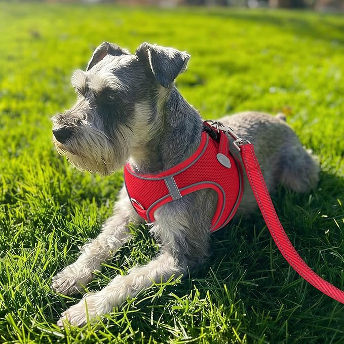 Joytale Small Dog Harness, Breathable Mesh Step-in Vest, Reflective Soft Padded Harnesses for Cats, Puppies and Extra Small Dogs, Red, XXS